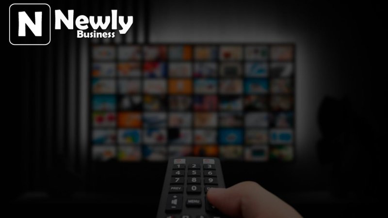 Hdhubfu: A Deep Dive into the Digital Streaming Phenomenon
